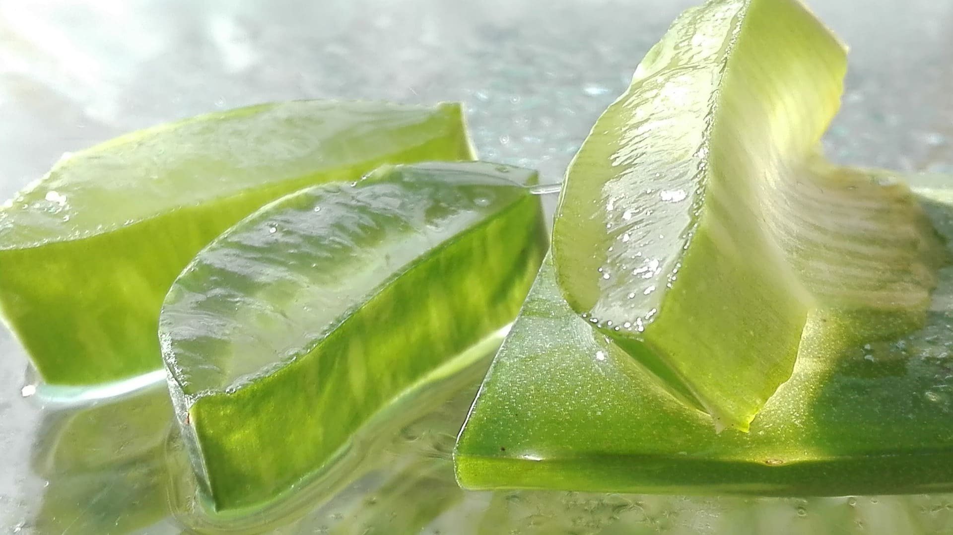 Aloe Vera Gel leaf
