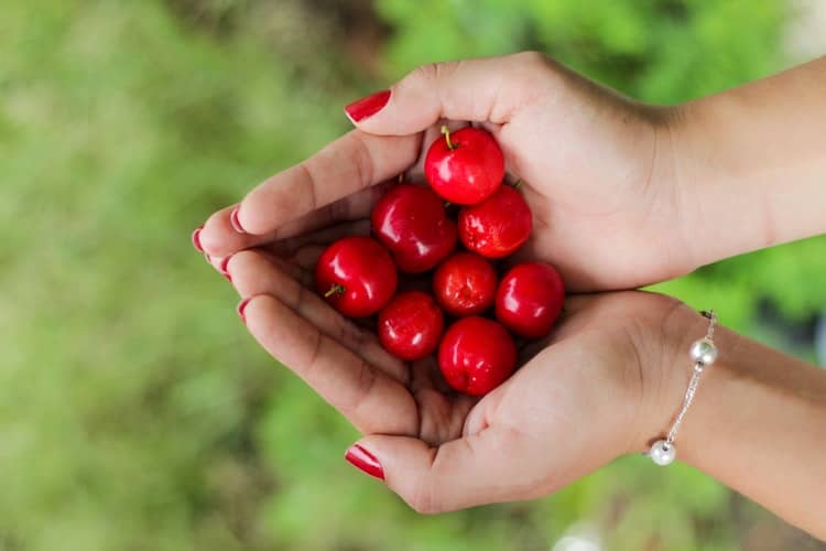 Vitamina C in acerola - fruct cu cel mai mare continut de vitamia C 